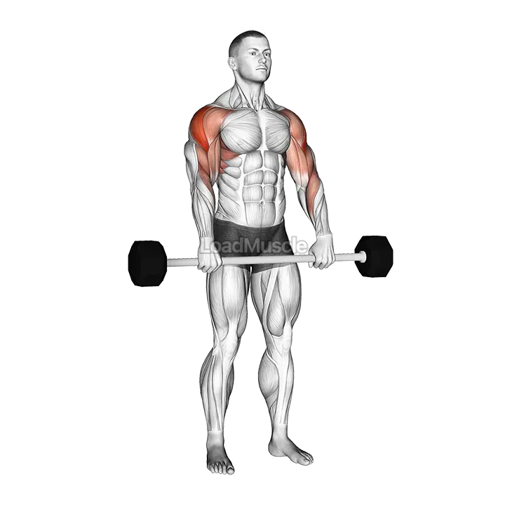 Barbell Shoulder Grip Upright Row demonstration