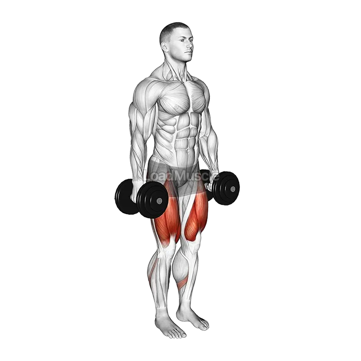 Dumbbell Narrow Stance Squat demonstration