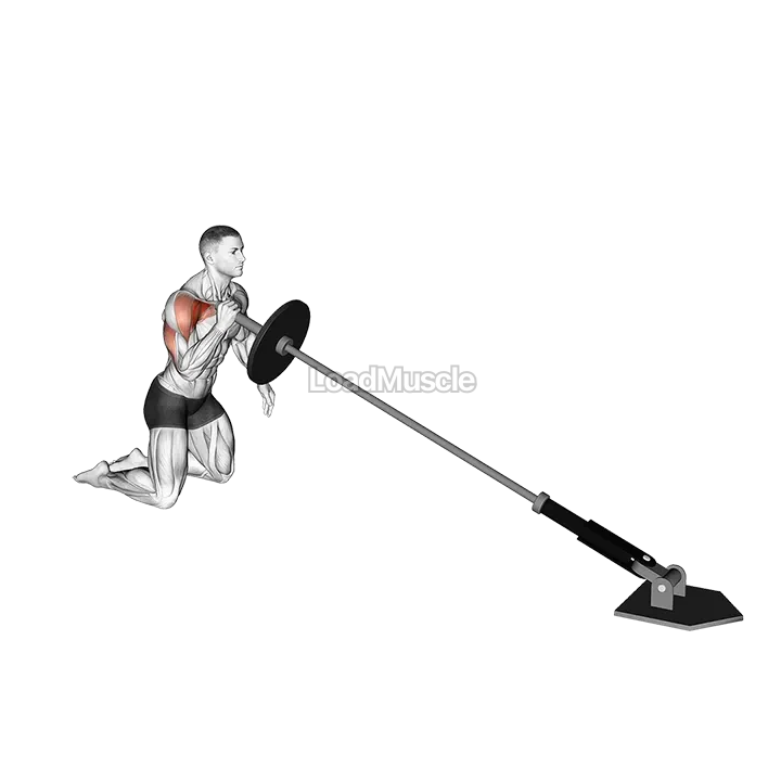 Landmine Kneeling One Arm Shoulder Press demonstration
