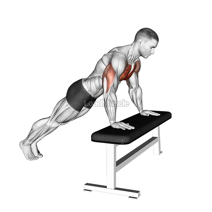 Incline Push-up (on bench) demonstration