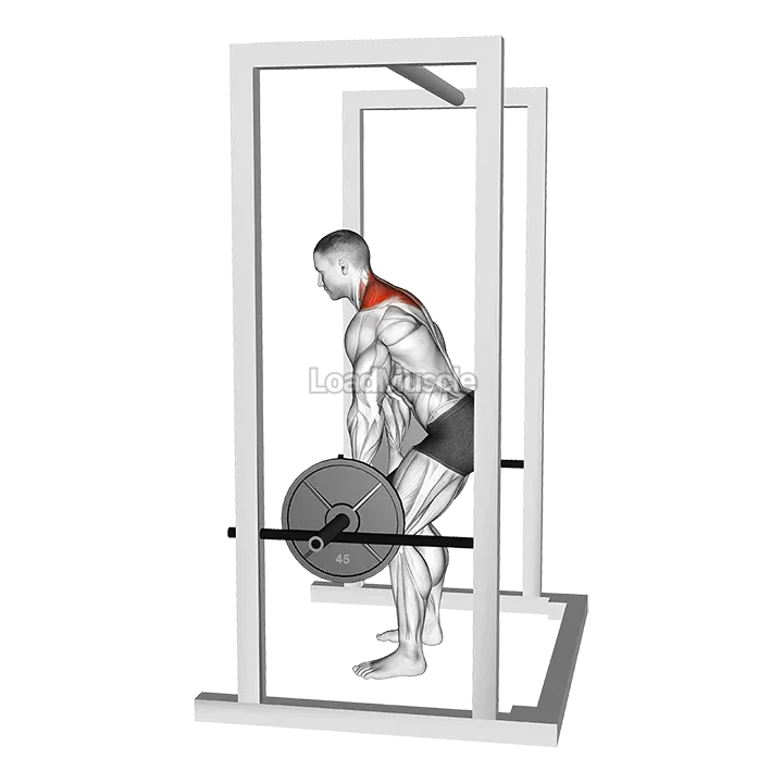 Barbell Power Shrug demonstration