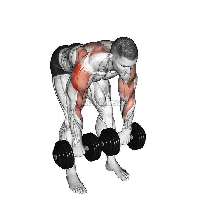 Dumbbell Bent Over Face Pull demonstration