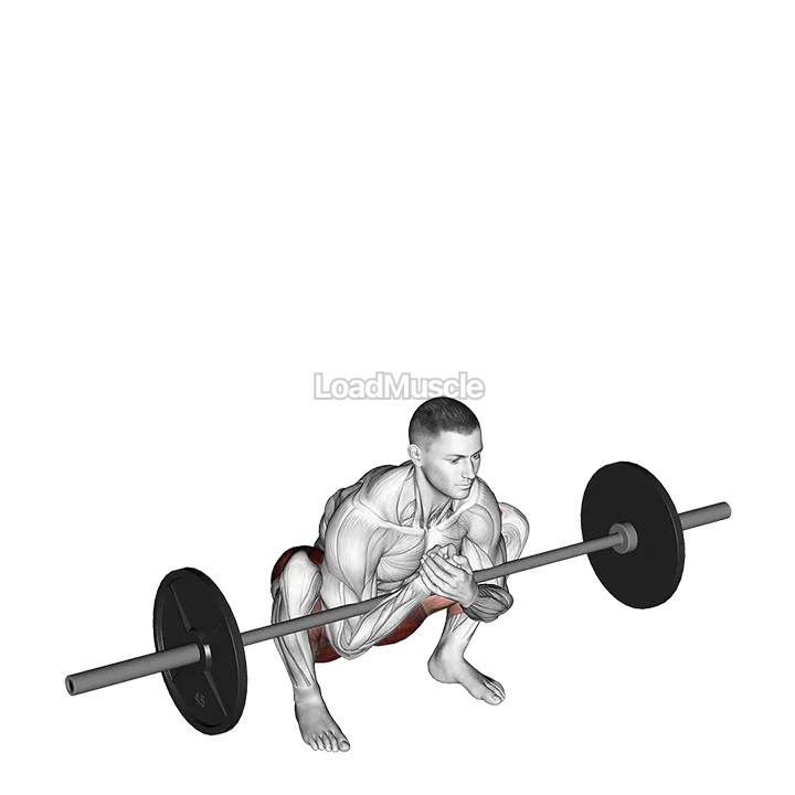 Barbell Zercher Deadlift demonstration