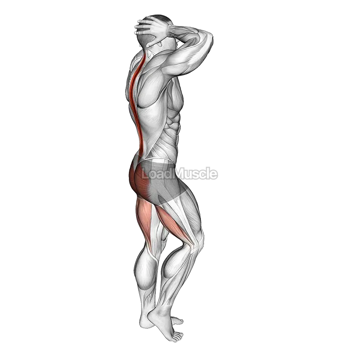Bodyweight B Stance Good Morning demonstration
