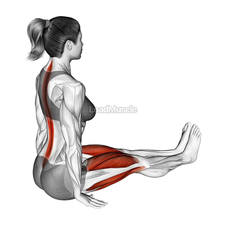 Lean Forward Stretch demonstration