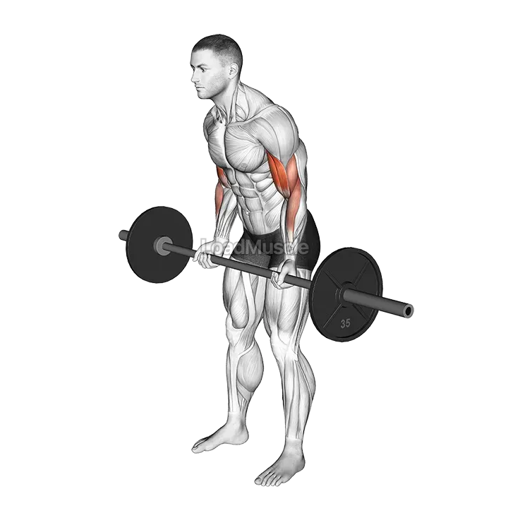 Cheat Curl demonstration