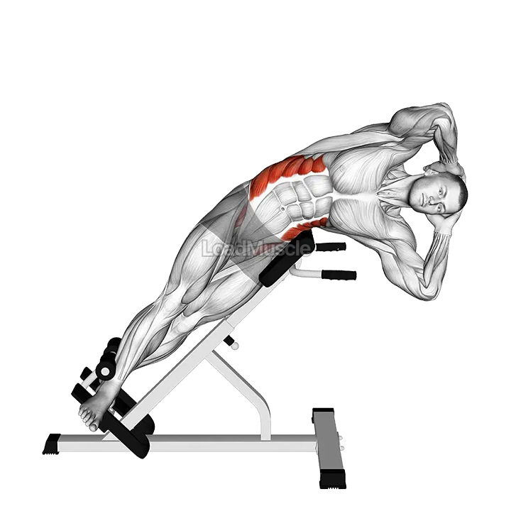 45 degrees Side Bend demonstration