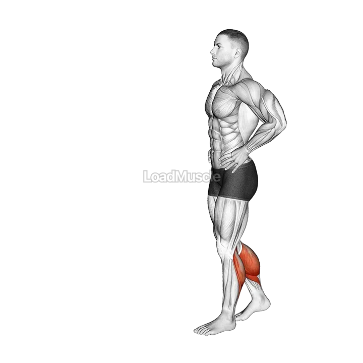 Bodyweight Walking Calf Raise demonstration