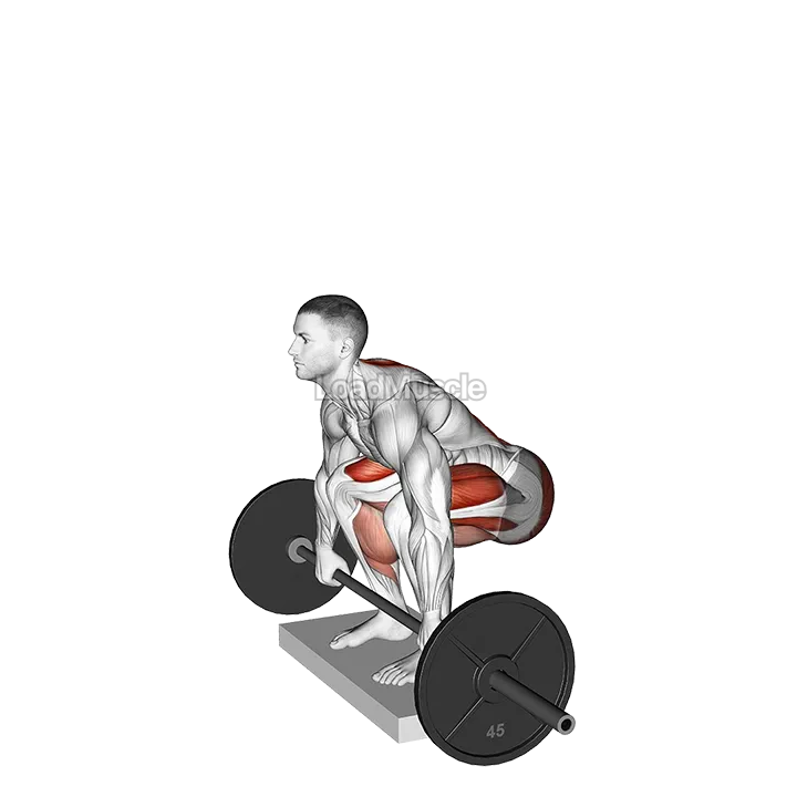 Barbell Deadlift from Deficit demonstration