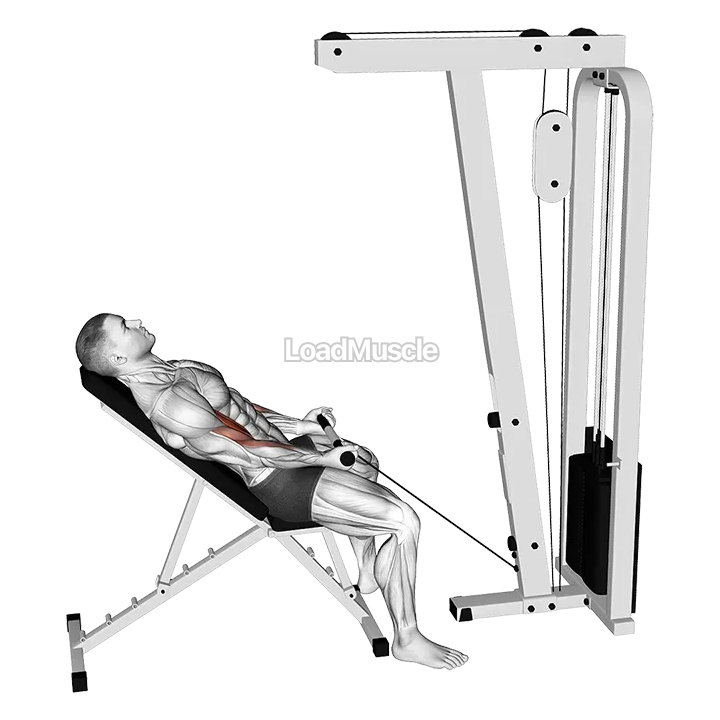 Cable Incline Biceps Curl demonstration