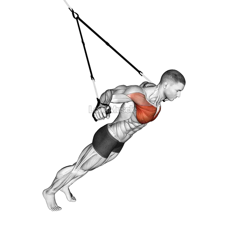 Suspension Fly demonstration