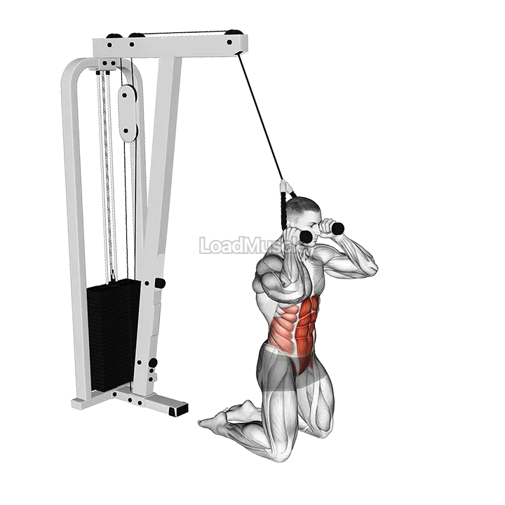 Cable Kneeling Crunch demonstration