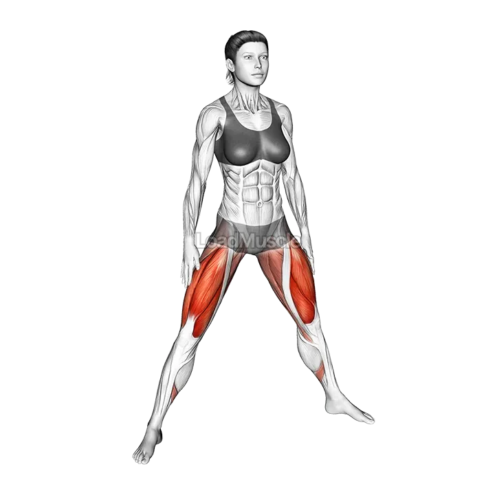 Plyo Squat demonstration