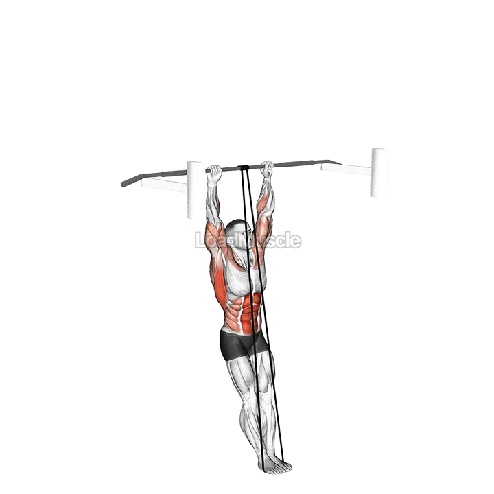 Band Assisted Muscle-up demonstration