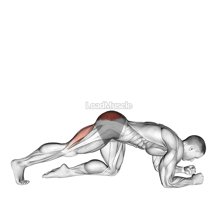 Kicks Leg Bent demonstration