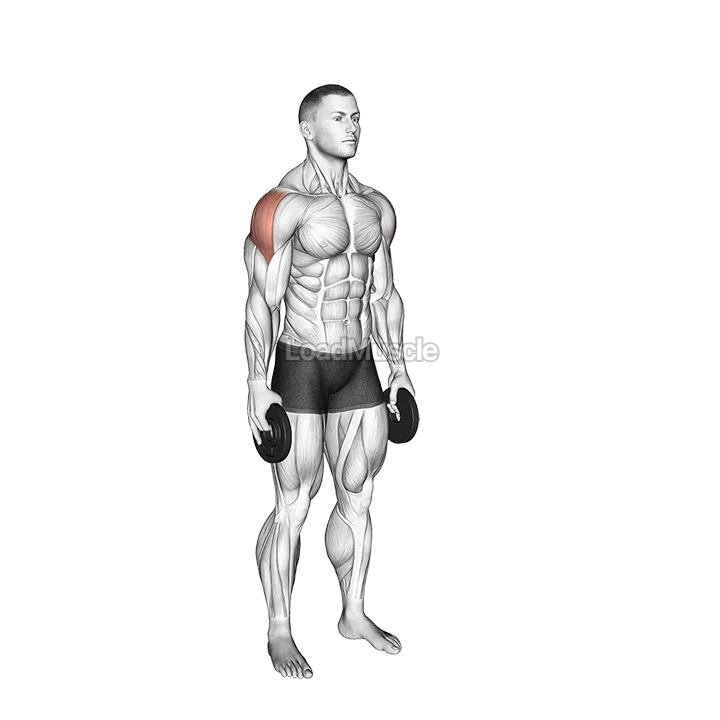 Weighted Full Can Exercise demonstration