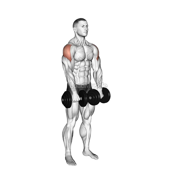 Dumbbell Empty Can Exercise demonstration