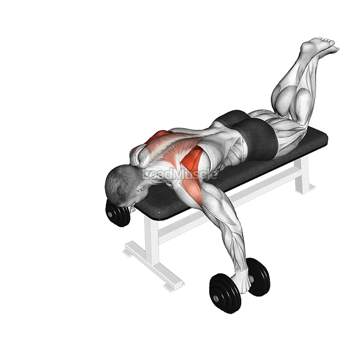 Dumbbell Prone Full Can Exercise demonstration