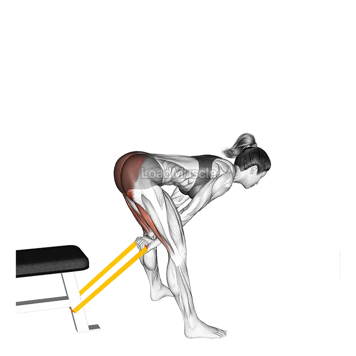 Resistance Band Pull Through demonstration