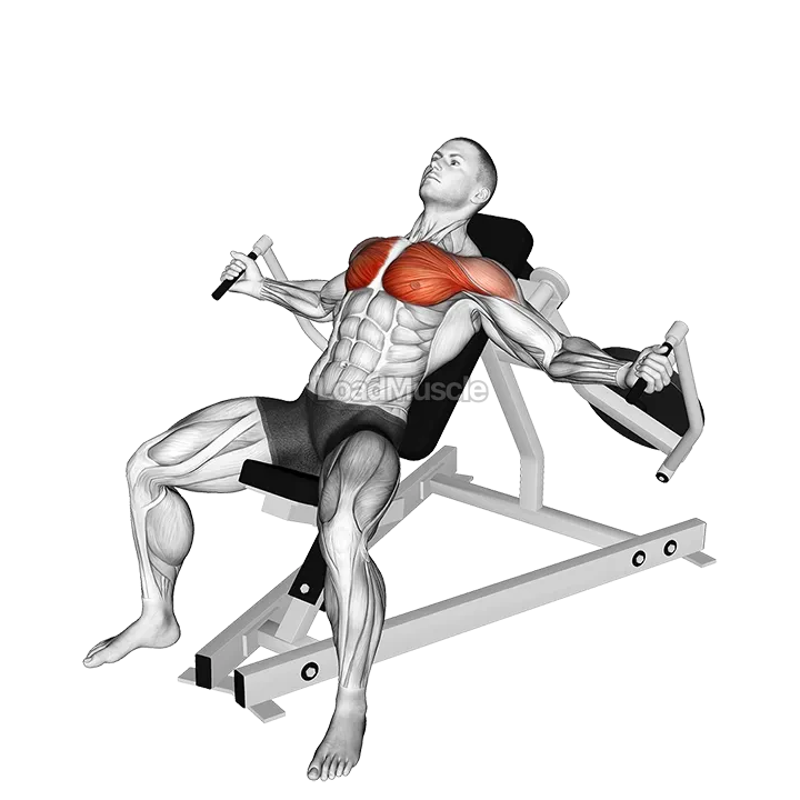 Lever Incline Fly demonstration