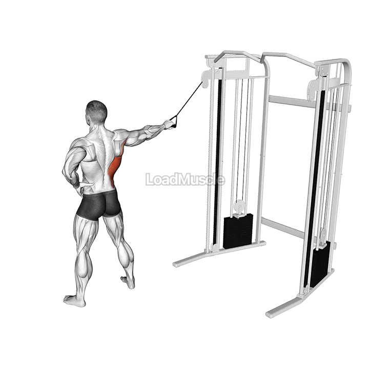 Single Arm Side Straight Arm Lat Pulldown demonstration