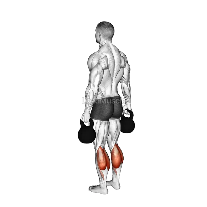 Kettlebell Standing Calf Raise demonstration
