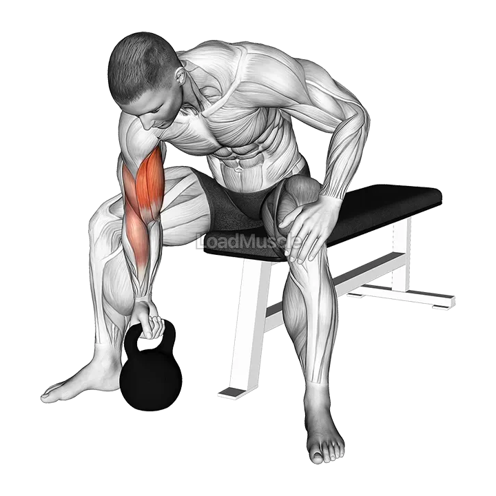 Kettlebell Concentration Curl demonstration
