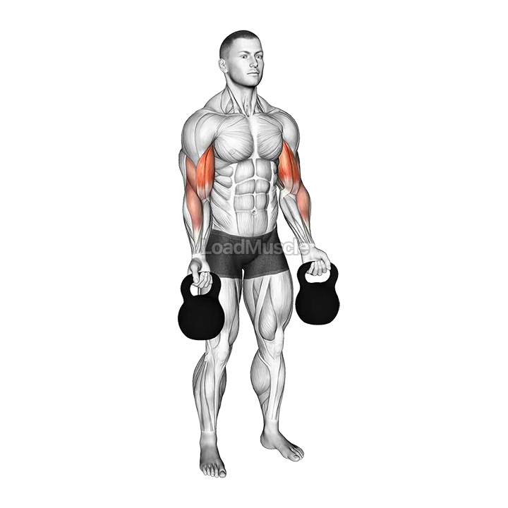 Kettlebell Biceps Curl demonstration