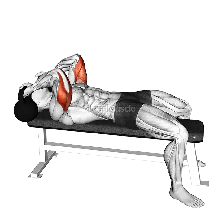 Kettlebell Lying Triceps Extension Skull Crusher demonstration