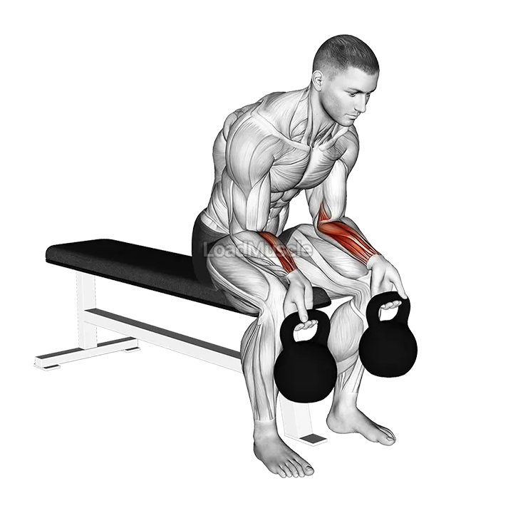 Kettlebell Wrist Curl demonstration