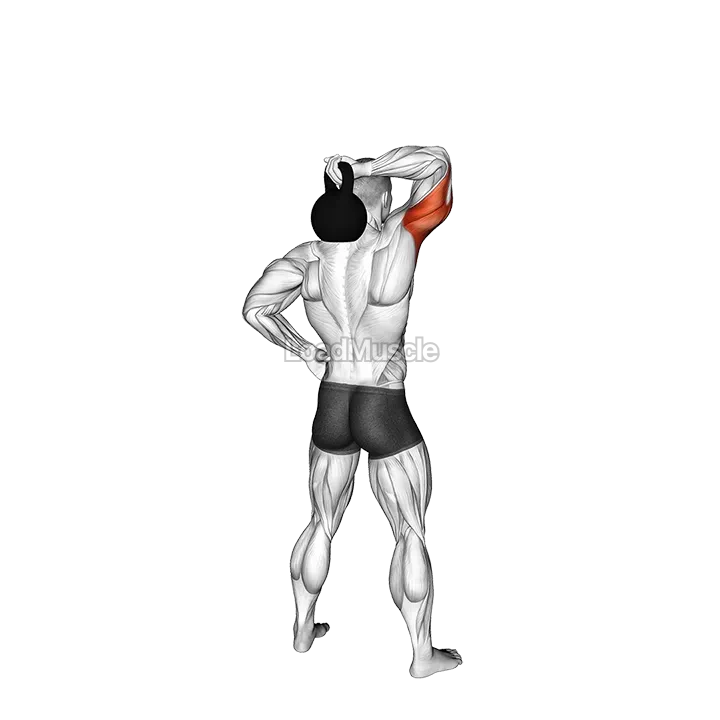 Kettlebell Standing One Arm Extension demonstration