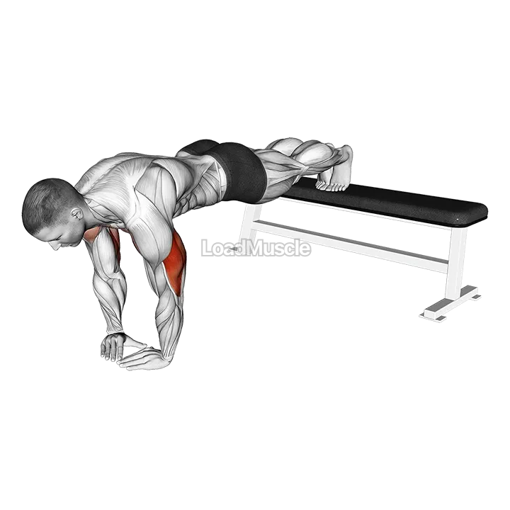 Decline Diamond Push-up demonstration