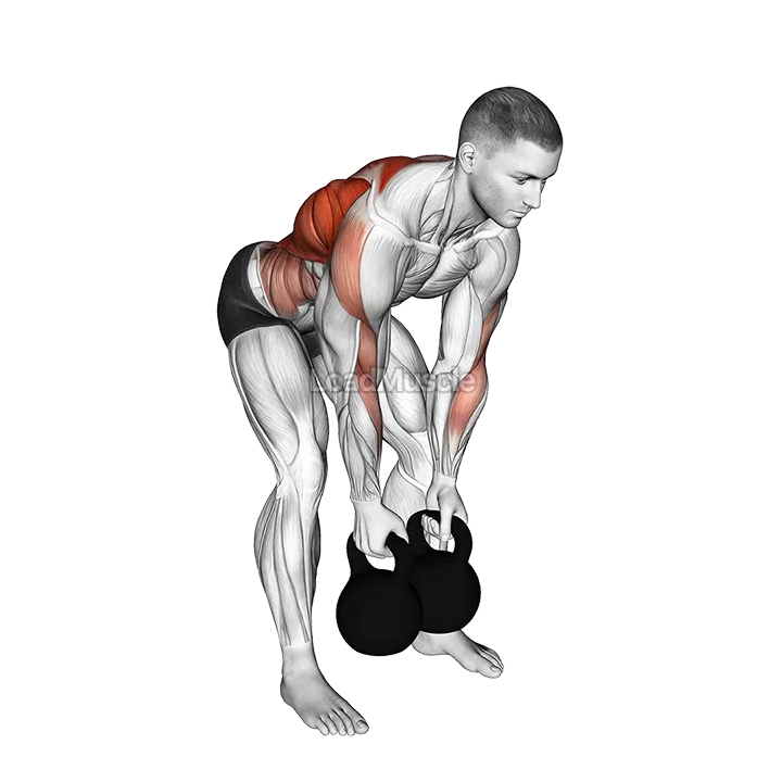 Kettlebell Bent over Alternate Twist Row demonstration