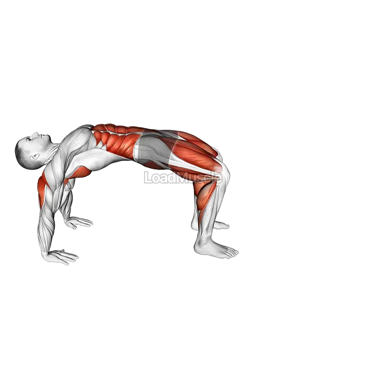 Crab Walk demonstration