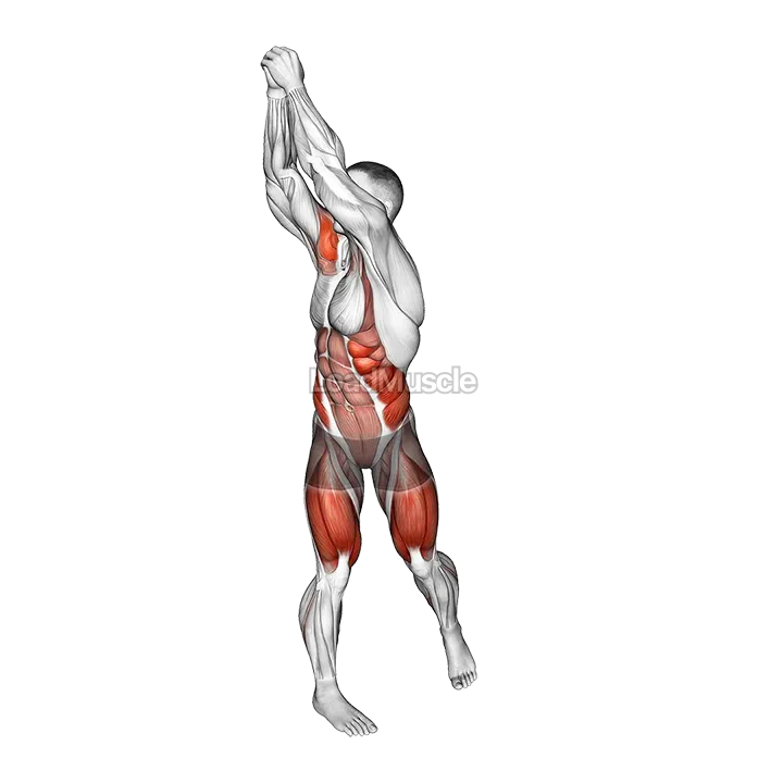 Bodyweight Wood Chop Squat demonstration