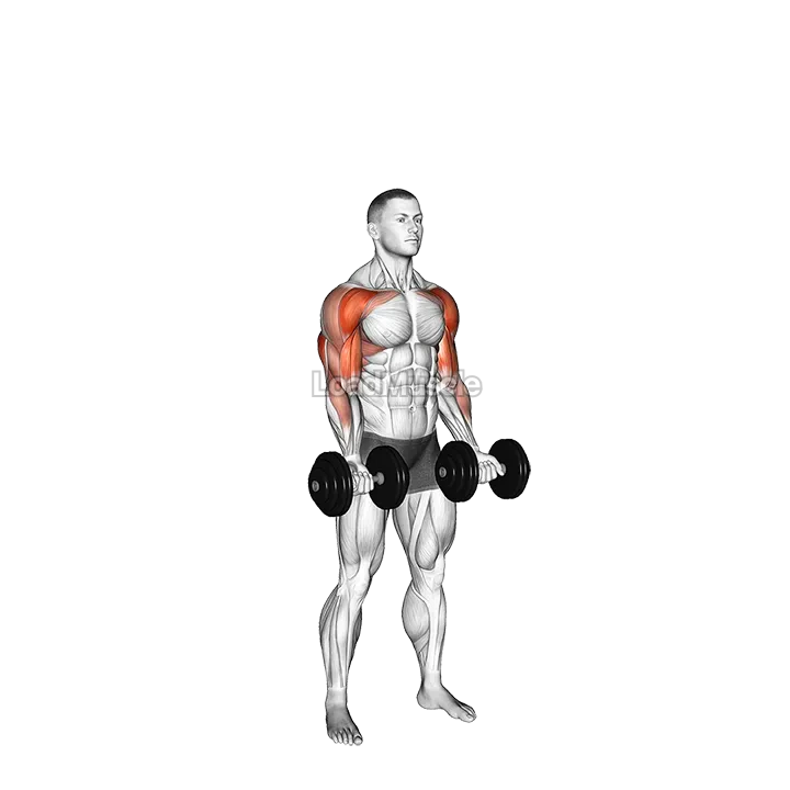 Dumbbell Curl Press Extension demonstration