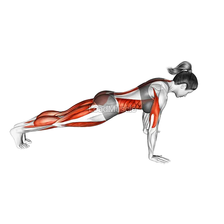 Chaturanga Pose demonstration