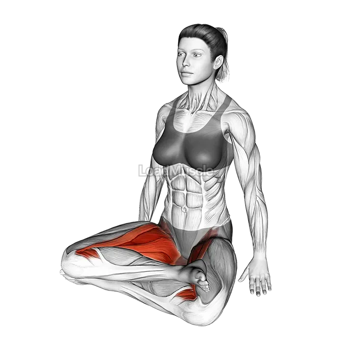 Double Pigeon Pose demonstration