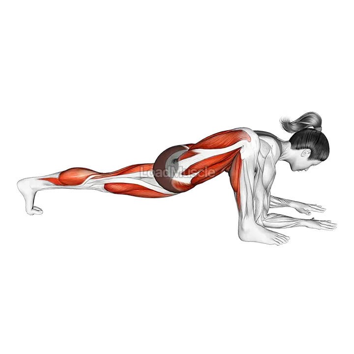 Lizard Pose demonstration