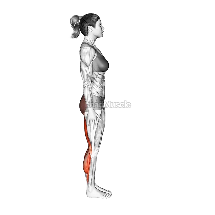 Standing Half Bend demonstration