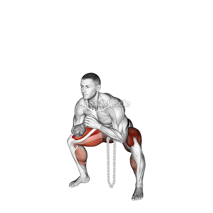 Weighted Chain Sumo Deadlift demonstration