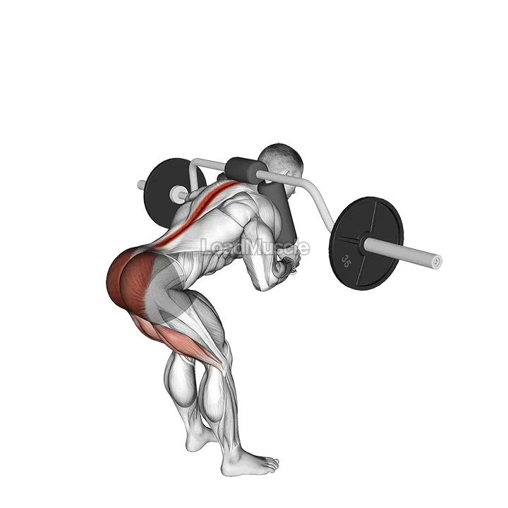 Safety Bar Good Morning demonstration