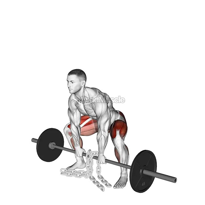 Barbell Weighted Chains Sumo Deadlift demonstration