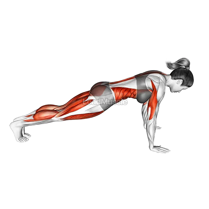 Four Limbed Staff demonstration