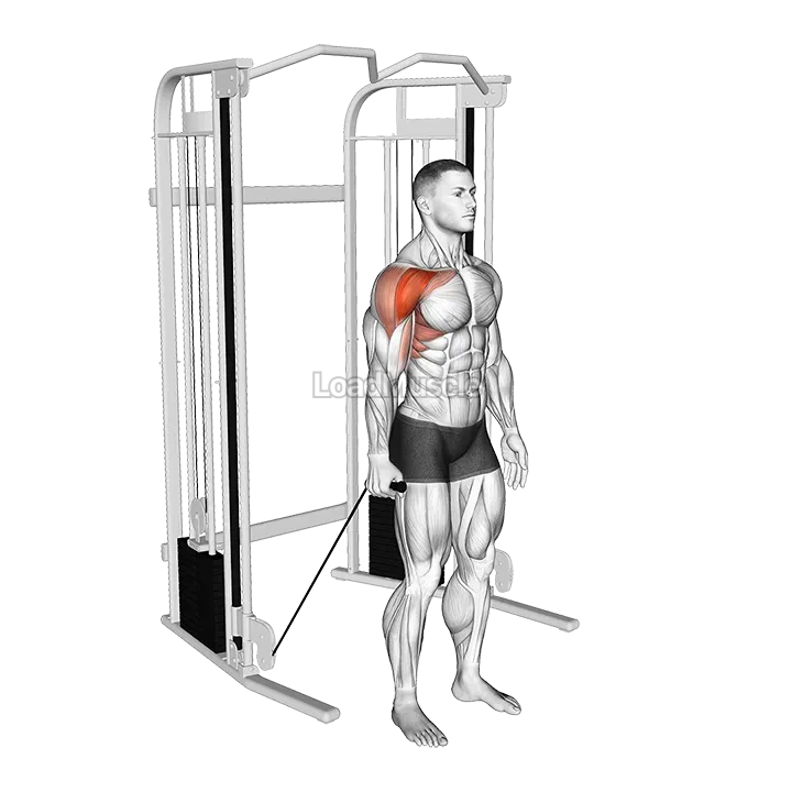 Cable Single Arm Neutral Grip Front Raise demonstration