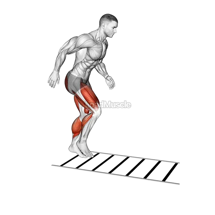 Ladder Drill demonstration