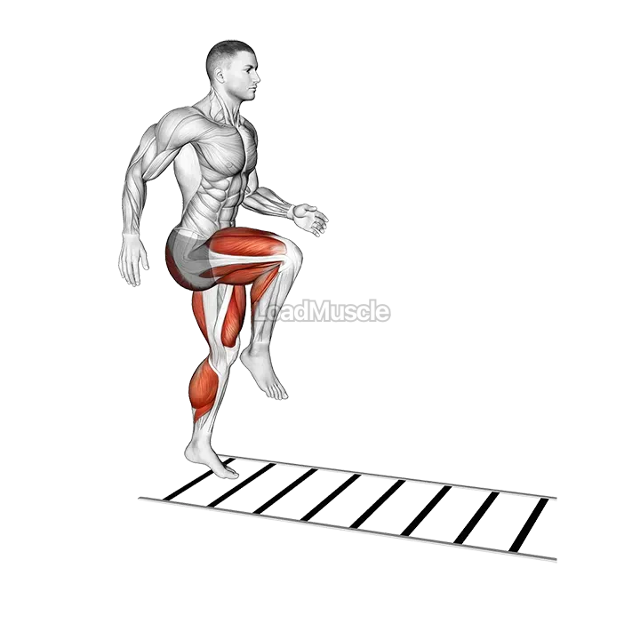 Plyometric Agility Drill demonstration