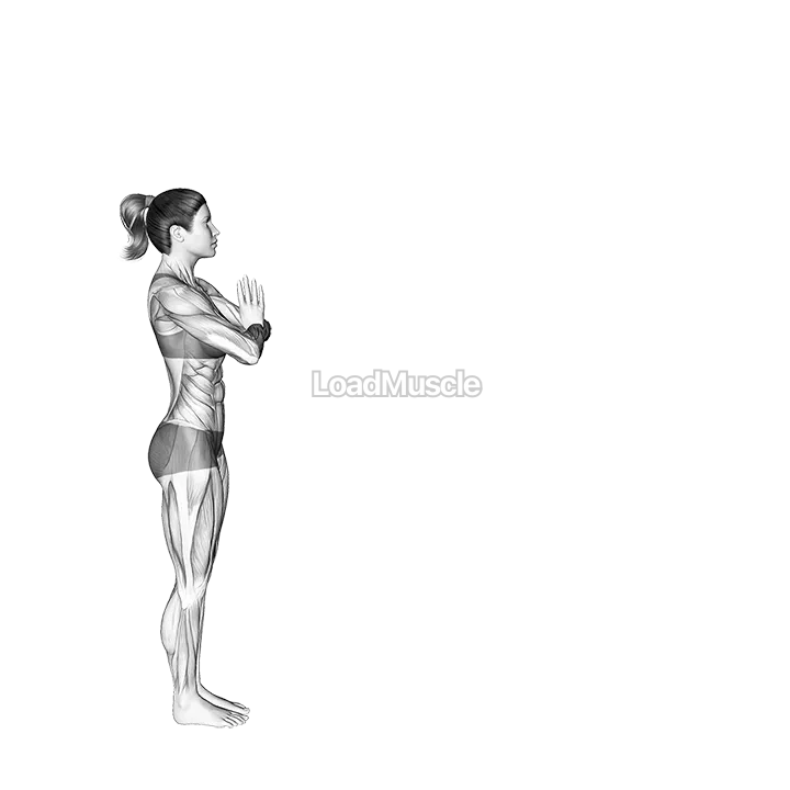 Vinyasa demonstration