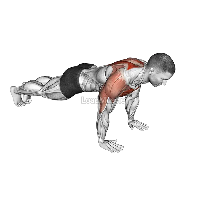 Lay Down Push-up demonstration