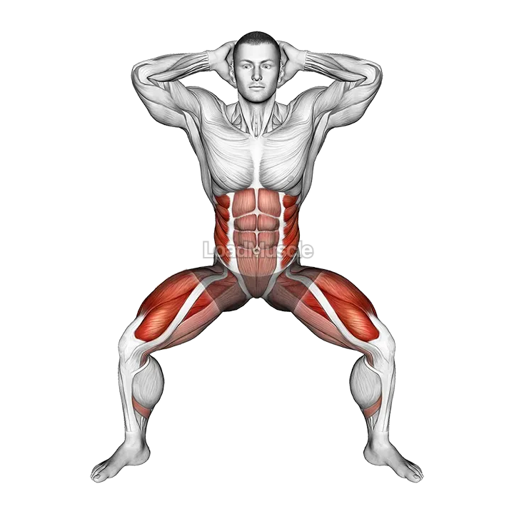 Half Squat Side Reach demonstration